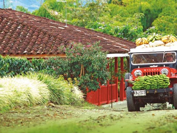 Colombia, camino hacia El Dorado