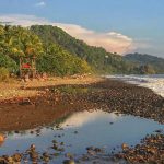 Ballenas y Delfines en Costa Rica
