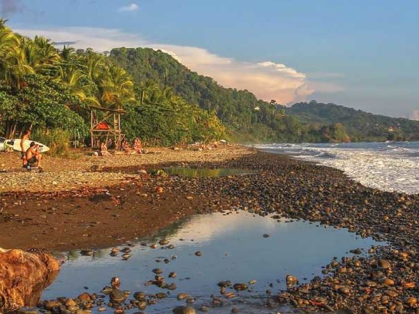 Ballenas y Delfines en Costa Rica