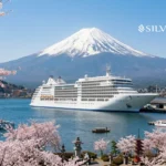 Cerezos Japoneses en Silver Muse